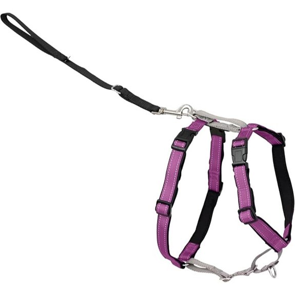 PetSafe 3-in-1 No-Pull Dog Harness – Reflective Padded Small