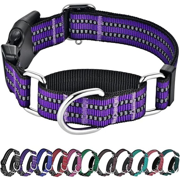 Martingale Collar for Dogs,Reflective Escape Proof,Purple,M