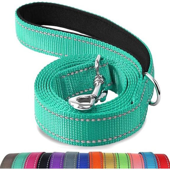 Joytale Reflective Dog Leash for Medium & Large Dogs 6 FT x 1 Turquoise