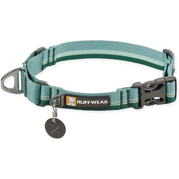 Ruffwear Web Reaction Martingale Dog Collar River Rock Green 17-20