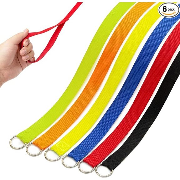 6 Pack 6ft Slip Lead Dog Leash with O‑Ring