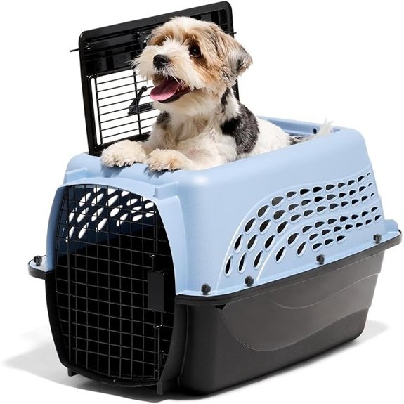 Petmate Two Door Plastic Pet Kennel for Small Dogs and Cats 24in Blue