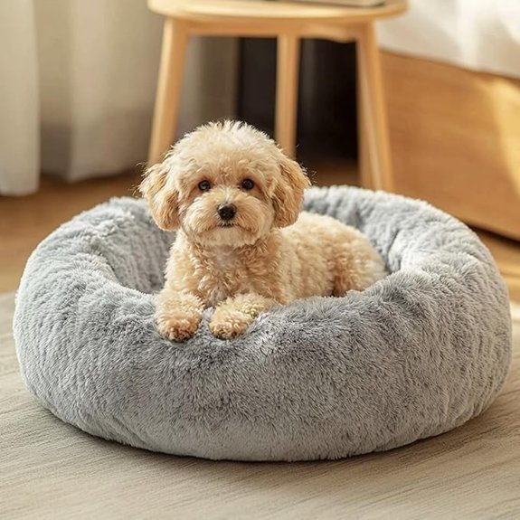JOLLYVOGUE Small Dog Bed Calming Washable Donut Bed (Smoke Grey)