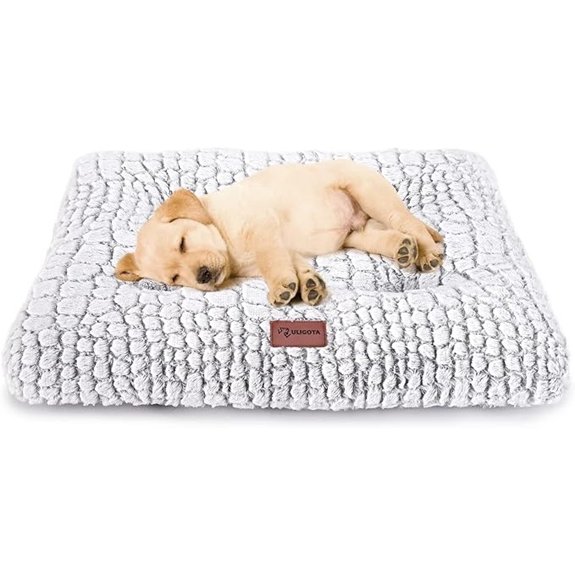Dog Bed Crate Pad for Small Dogs 24x18 White