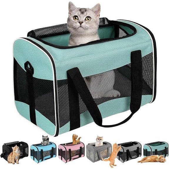Collapsible Soft-Sided Pet Carrier for Cats & Dogs (16lbs)