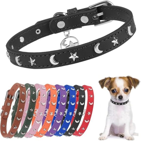 Leather Dog Collar Studded Pet Collar Breakaway Moon and Stars