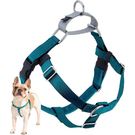 2 Hounds Design Freedom No Pull Dog Harness 1 inch LG Teal