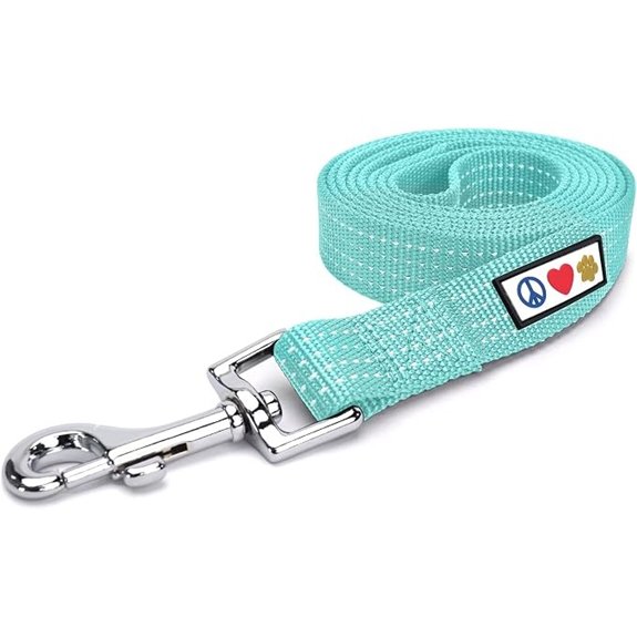 Pawtitas Teal 6‑ft Reflective Dog Leash for Small Dogs