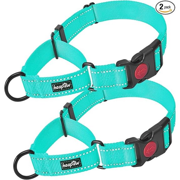Haapaw Escape-Proof Martingale Dog Collar Turquoise Large