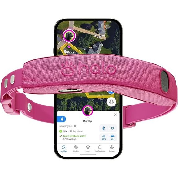 wireless gps dog fence