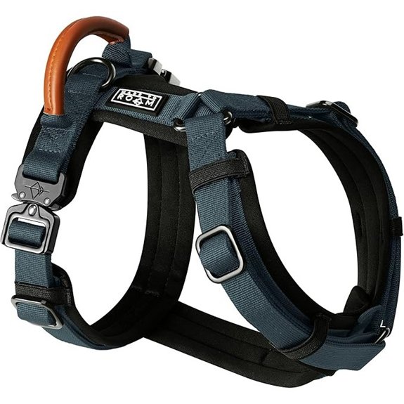 Premium Explorer Y-Shaped Dog Harness (Colorado Nightsky)
