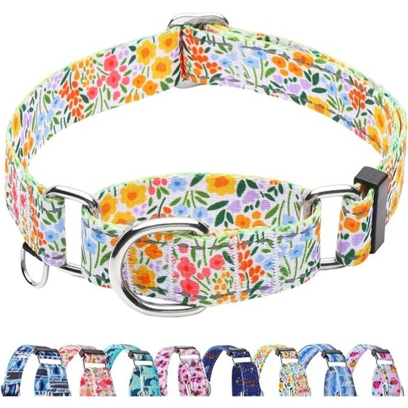 Reflective Martingale Nylon Dog Collar for Medium Dogs (Yellow)