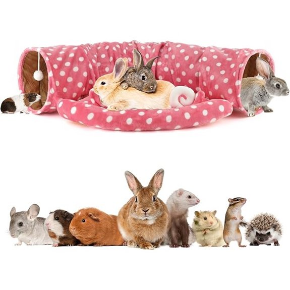 BWOGUE Bunny Tunnel Bed 2-in-1 Collapsible Rabbit Tunnel Hideout with Mat