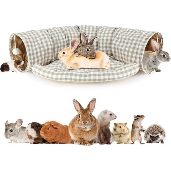 BWOGUE Bunny Tunnel Bed 2-in-1 Collapsible Rabbit Tunnel Hideout with Mat