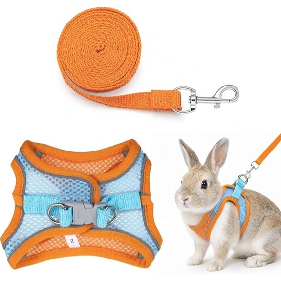 Rabbit Harness and Leash Set Adjustable Cute Bunny Collar