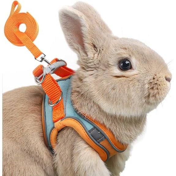 Adjustable Bunny Harness and Leash Set Rabbit Vest Supplies(Orange S)