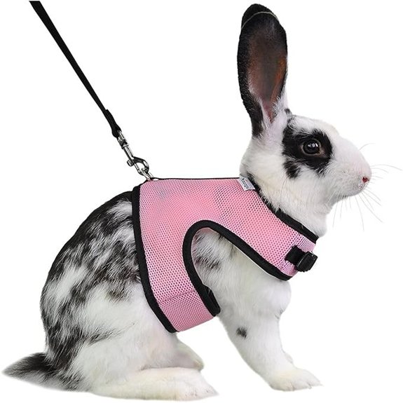 Niteangel Adjustable Soft Harness with Elastic Leash for Rabbits (L Pink)
