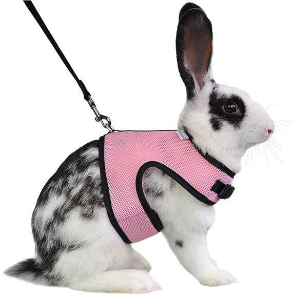 Niteangel Adjustable Soft Harness with Elastic Leash for Rabbits (XL Pink)