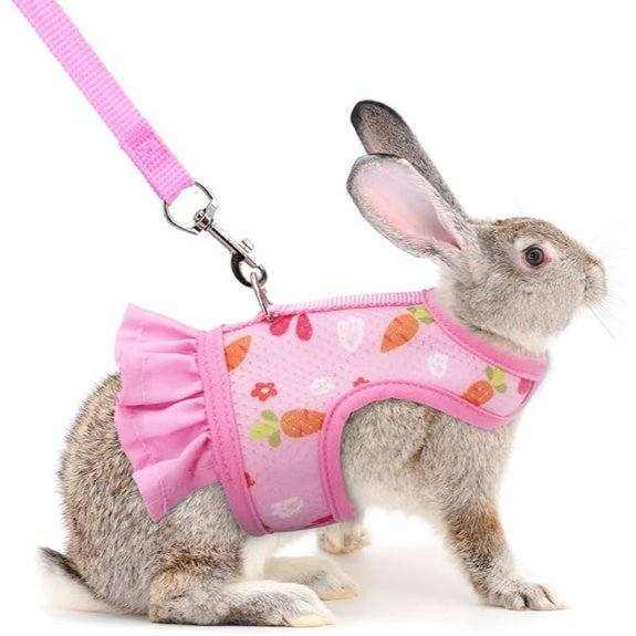 Cute Bunny Harness and Leash Set Breathable Rabbit Harness for Small Pets