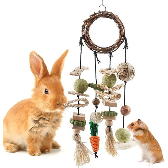 Bissap Bunny Chew Toy with Treats for Small Pets