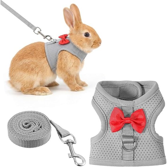 Bunny Leash and Harness Set Rabbit Harness Vest M Size