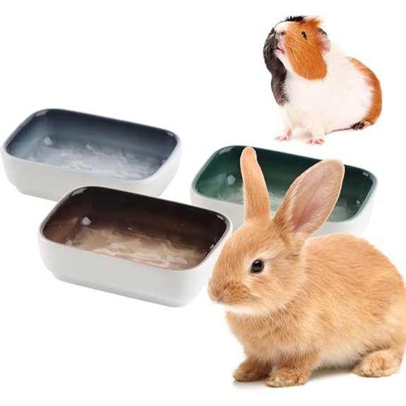 3-Pack Ceramic Anti-Turning Food and Water Bowl for Small Animals
