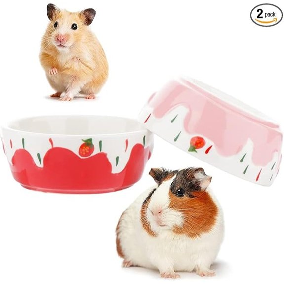 2-Pc Ceramic Anti-Turning Food and Water Bowl for Hamsters and Other Small Animals