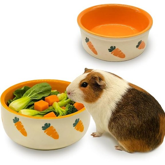 kathson 2 Pcs Hamtser Food Bowl,Ceramic Anti-Turning Guinea Pig Food Bowls