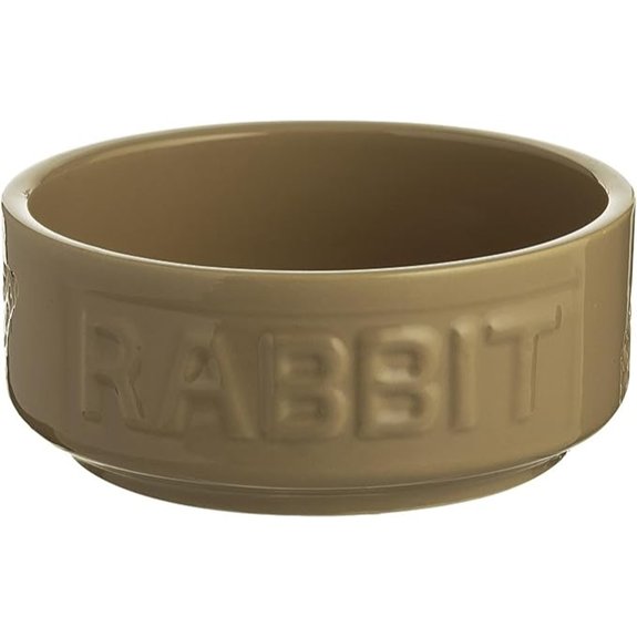 Mason Cash Cane Rabbit Bowl 13.5 oz Ceramic Food and Water Pet Dish