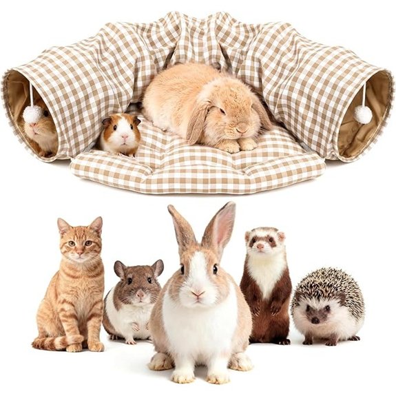 Bunny Tunnel Bed Collapsible Tunnel Tubes with Removable Bed