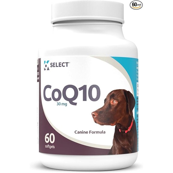 CoQ10 Supplement for Dogs Soft Gels Heart Health