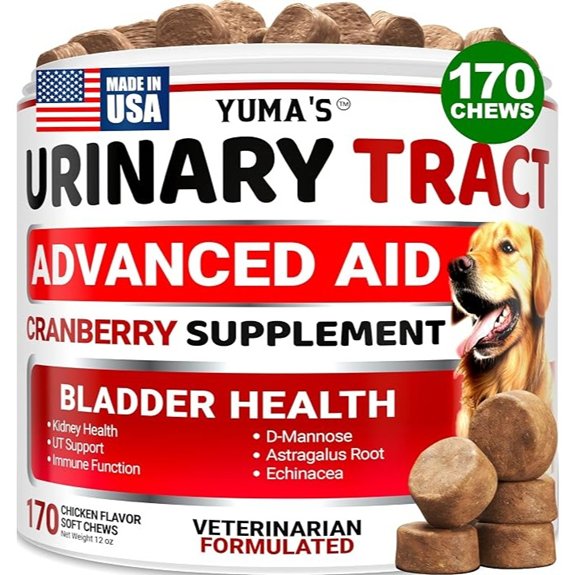 Cranberry Supplement for Dogs - 170 Chews - Dog UTI & Bladder Support