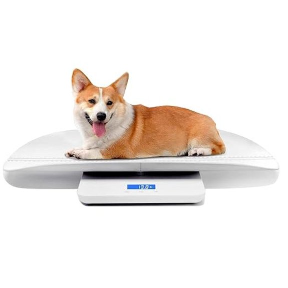Digital Pet and Baby Scale with 3 Modes
