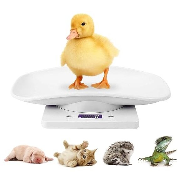 Digital Mini Pet Scale LCD Electronic Weighing Scale with Tray Max.33 lbs