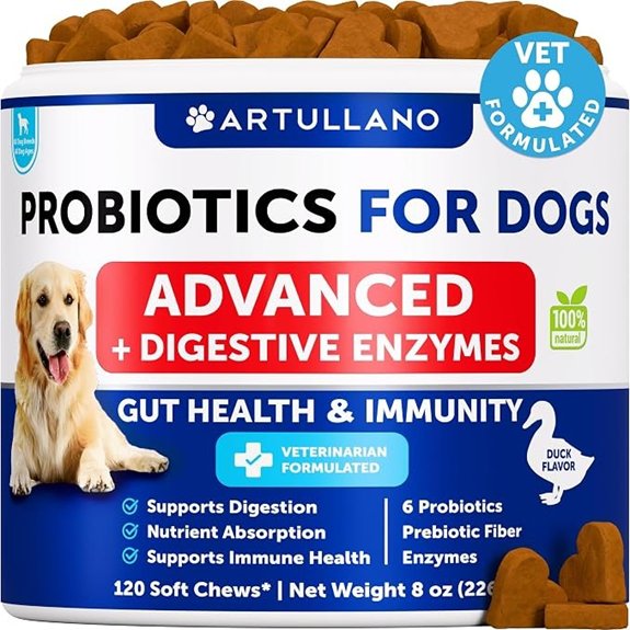 Probiotics for Dogs - 120 Chews - Dog Yeast Probiotic - Dog Probiotics