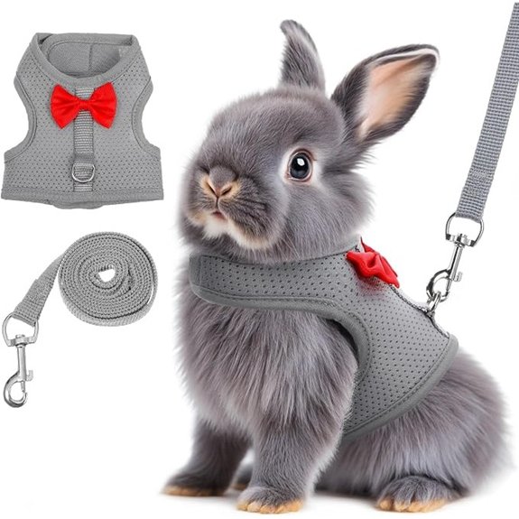 Rabbit Harness and Leash Set Grey M Escape Proof Mesh Vest
