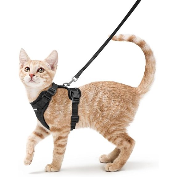 rabbitgoo Cat Harness and Leash Set Escape Proof Vest Black