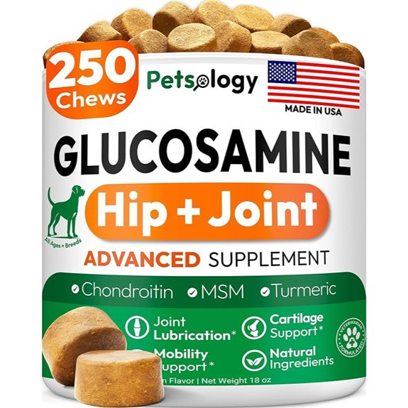 Glucosamine for Dogs - 250 Chews with Chondroitin Hip and Joint Supplement