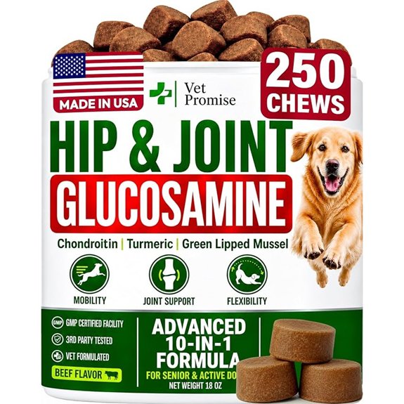 Glucosamine Hip & Joint Supplement for Dogs - 250 Chews with Chondroitin