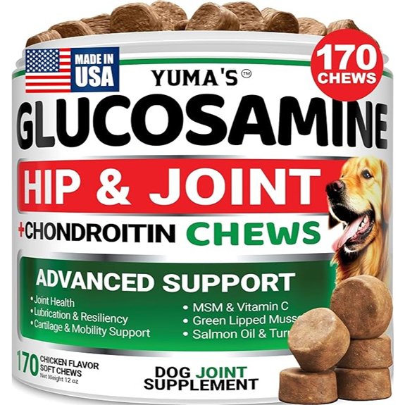 Glucosamine for Dogs 170 Chews Hip and Joint Supplement for Dogs Mobility
