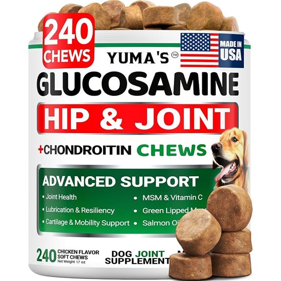 Glucosamine for Dogs - 240 Chews - Hip & Joint Supplement for Dogs