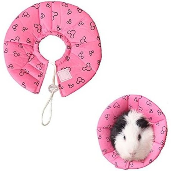 Hamster Rabbit Protection Cone Neck Collar (Small)