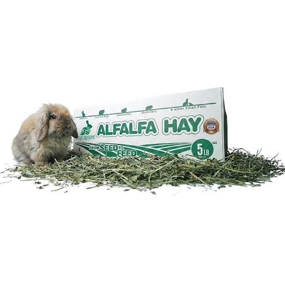 High Desert Alfalfa Hay for Young Rabbits and Guinea Pigs 5 lb Box