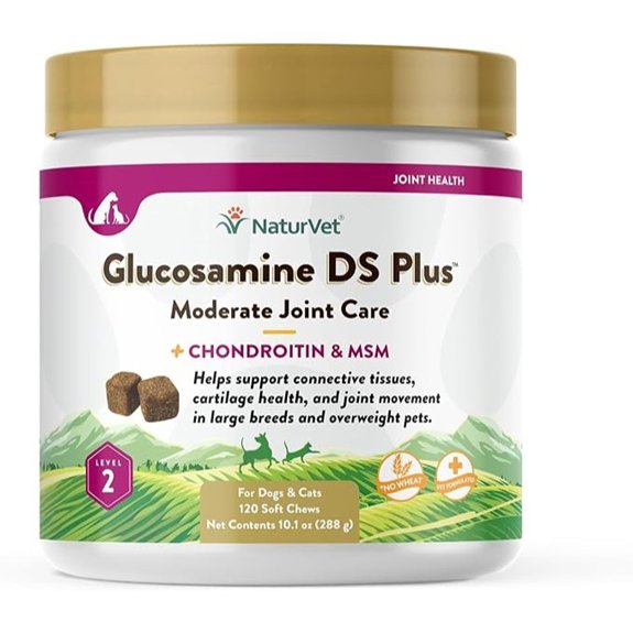 NaturVet – Glucosamine DS Plus - Level 2 Moderate Care - 120 Soft Chews
