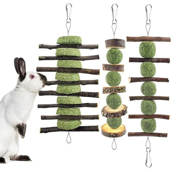 ERKOON Natural Apple Wood Rabbit Chew Toys