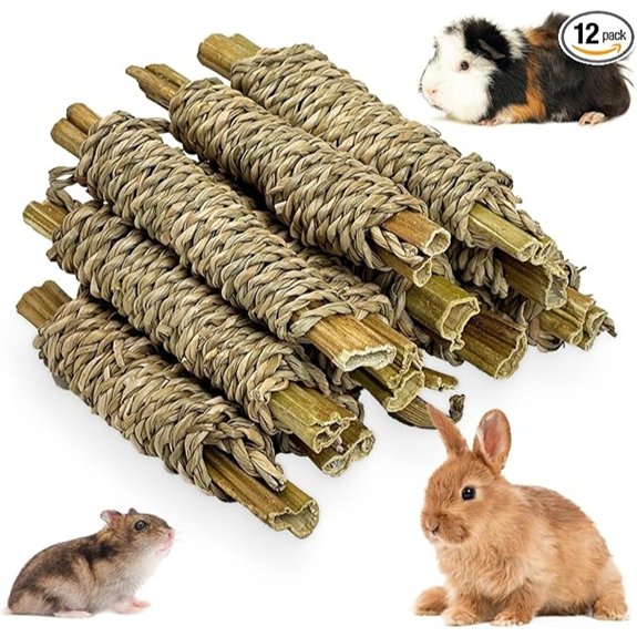 Natural Papaya Wood Seagrass Rabbit Guinea Pig Chew Sticks