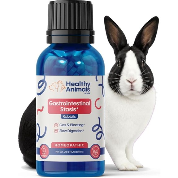 HealthyAnimals4Ever Rabbit Gastrointestinal Stasis Treatment - Natural 25g