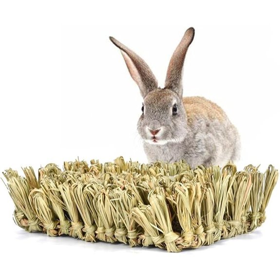 Hamiledyi Natural Woven Foraging Mat Bed and Scratch Pad