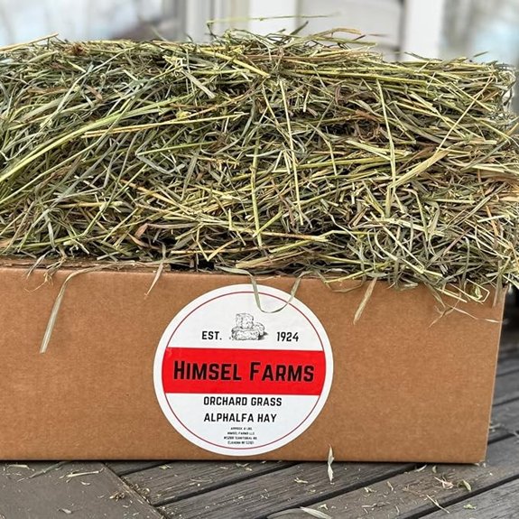 orchard alfalfa mixed hay