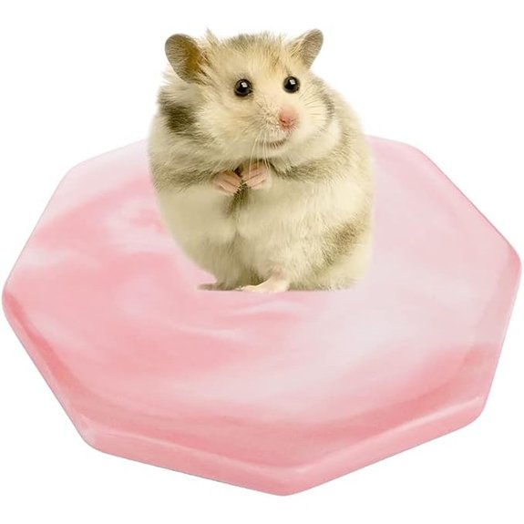 DQITJ Hamster Ceramic Cooling Plate (Pink)